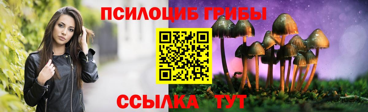 Галлюциногенные грибы прущие грибы  Вход с VPN  Сердобск 